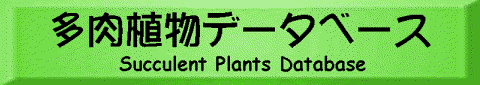 新型多肉植物データベース